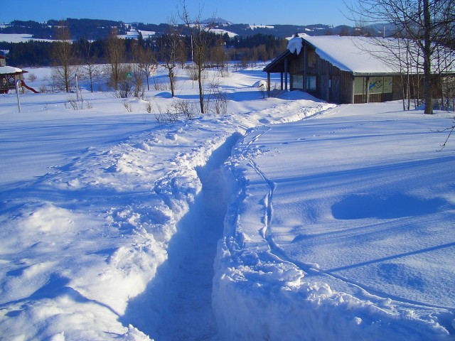 durch den Schnee gegraben