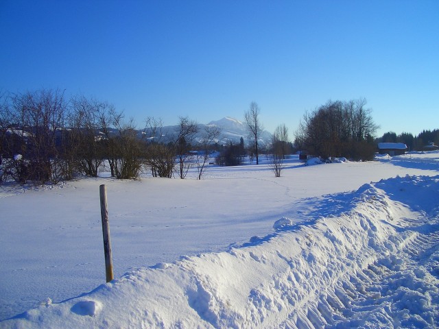 im Hintergrund der Grnten